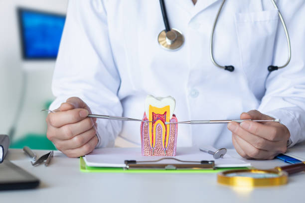 Best Broken Tooth Emergency  in Blountsville, AL
